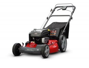 2. Briggs & Stratton Briggs & Stratton