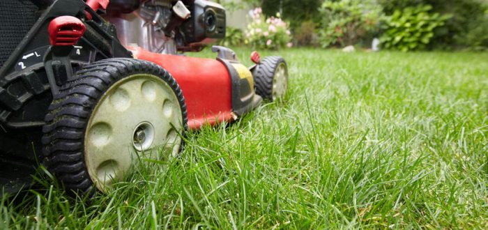 maintenance tips for lawn mower owners