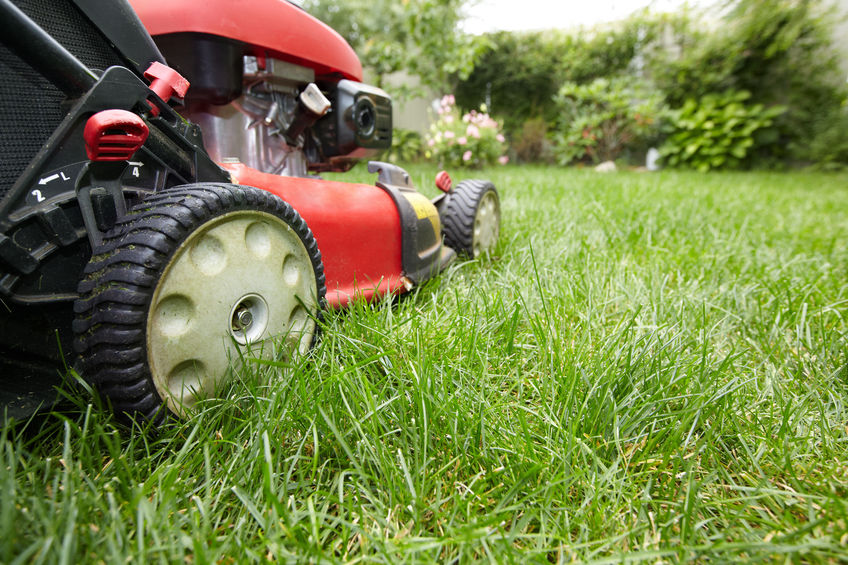7 Maintenance Tips for Lawn Mower Owners Greg's Small Engine